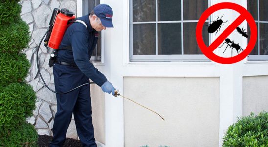 Feke Dezenfeksiyon böcek ilaçlama ve haşere kontrolü — ilaclama-tr.com